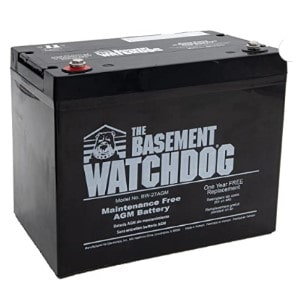 Pictured is the Basement Watchdog battery model BW-27AGM , a maintenance free  battery.