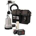 Liberty Pumps 441 Battery Back-Up Emergency Sump Pump System 