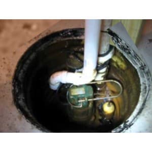 Our Zoeller M267 Sewage Pump Installed in 2013. As of this publishing it is now 13 years old and has required no maintenance. 